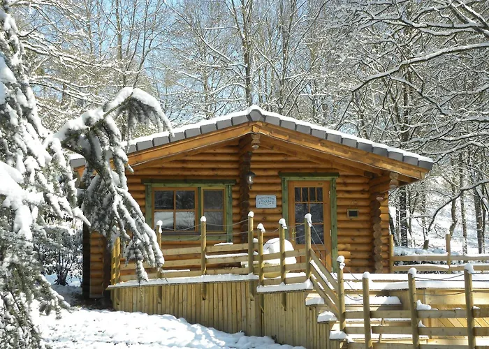 Tumbleweed House Bed & Breakfast